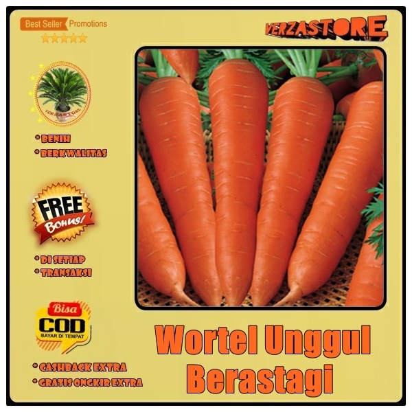 Biji Benih Bibit Sayuran Wortel Brastagi Medan Unggul Manis /100 Biji