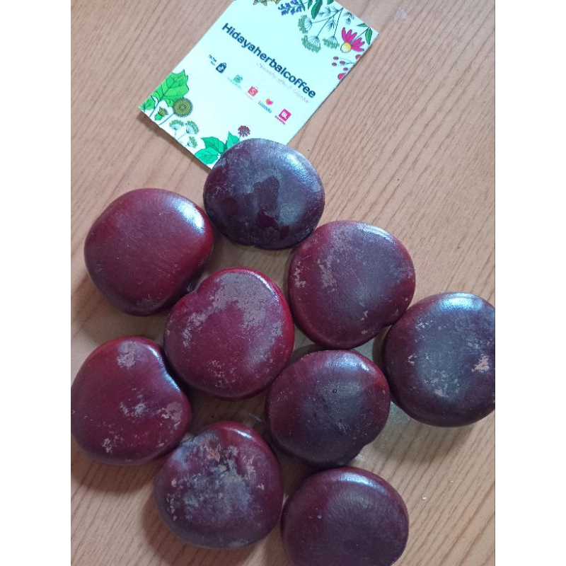 

Biji Bendo 1kg Artocarpus Elasticus