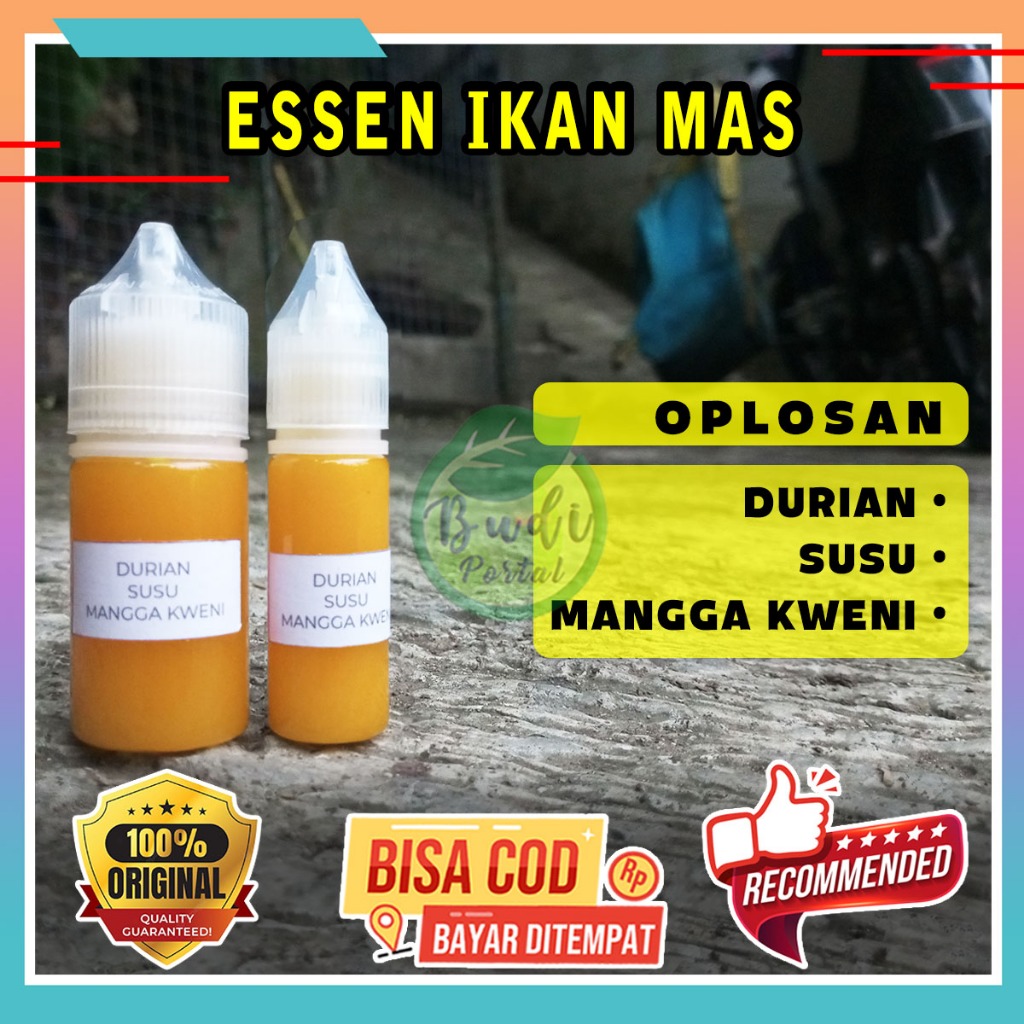 Essen Ikan Mas Oplosan Durian Susu Mangga Kweni Mancing Babon Indukan Dan Ikan Mas Rame