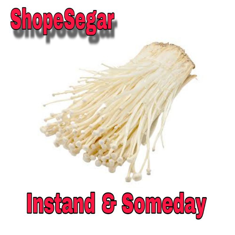 

Jamur Enoki Segar 100 gram kirimkan dan someday