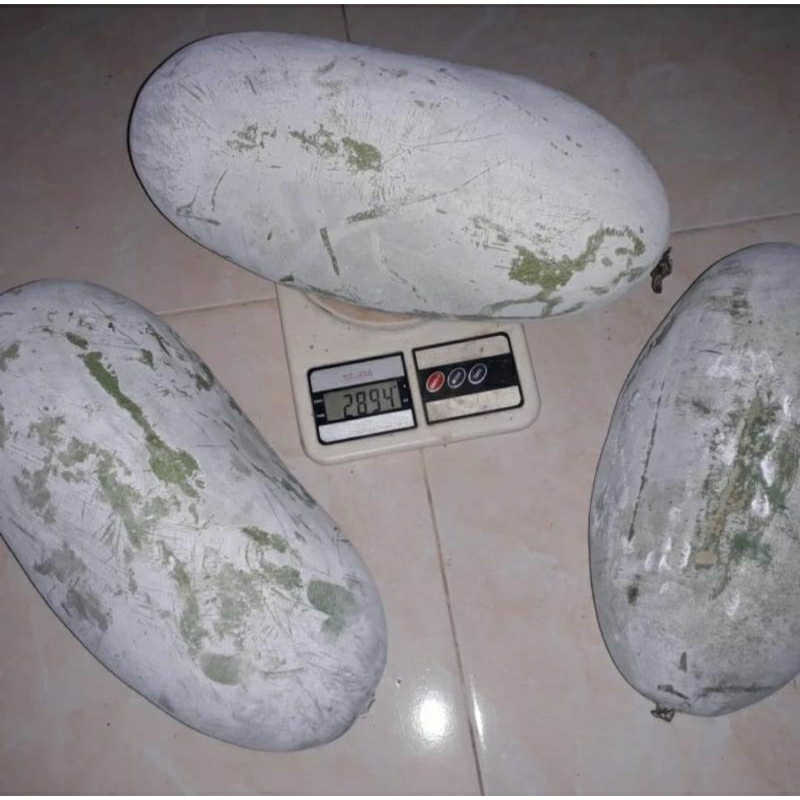 

Buah Beligo Bligo Kundur 2 Kg SEGAR, Baru petik, Herbal berkualitas