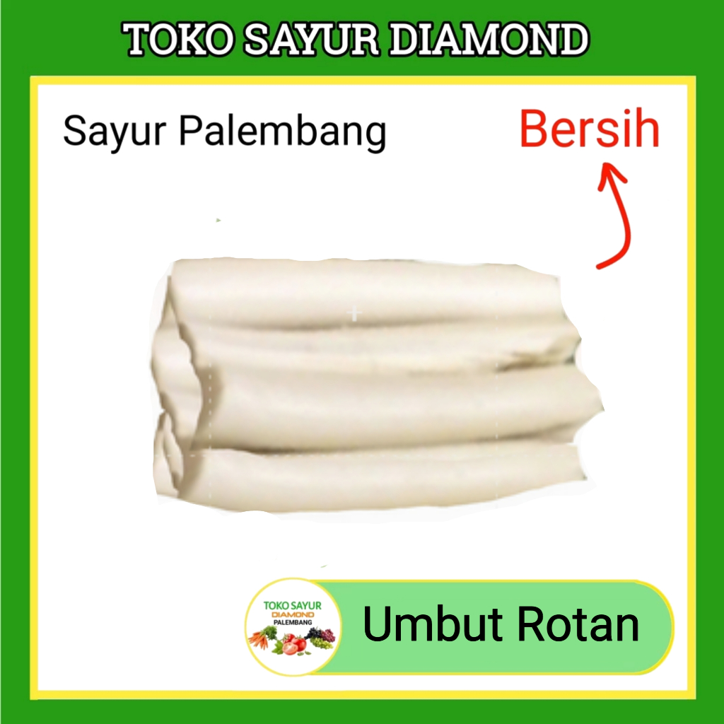 

Sayur Umbut Ombot Rotan / Ikat - Toko Sayur Diamond Palembang