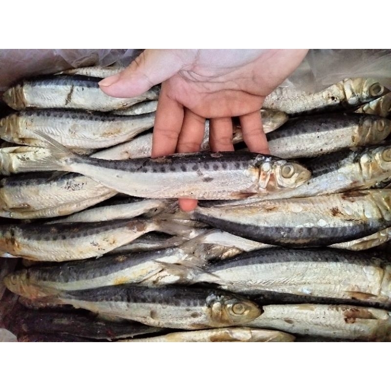 

Ikan Asin Tamban / Ikan Asin Pontianak / Ikan Asin Kalimantan Barat / Ikan Asin Murah / Iwak Asin