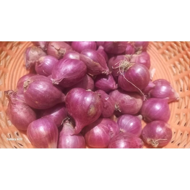 

Bawang Merah Kering 1/4 kg / 1/2 kg / 1 kg