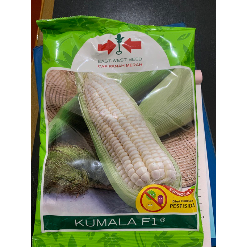 Benih jagung pulut Kumala 250gr expired november 2026