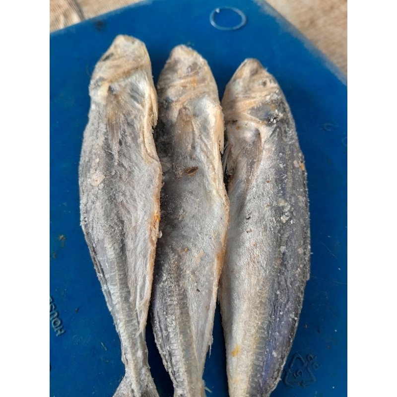 

ikan asin japuh / peda cingeng besar