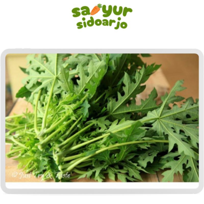 

Daun Pepaya 1 Ikat sayursidoarjo
