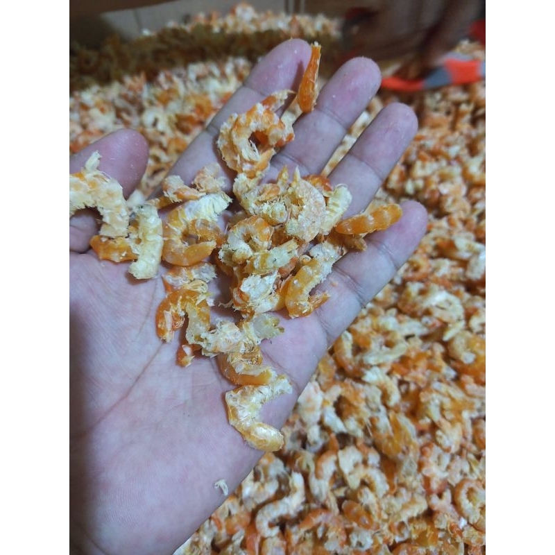 

UDANG EBI KERING SUPER BERAT 1 KG TERMURAH