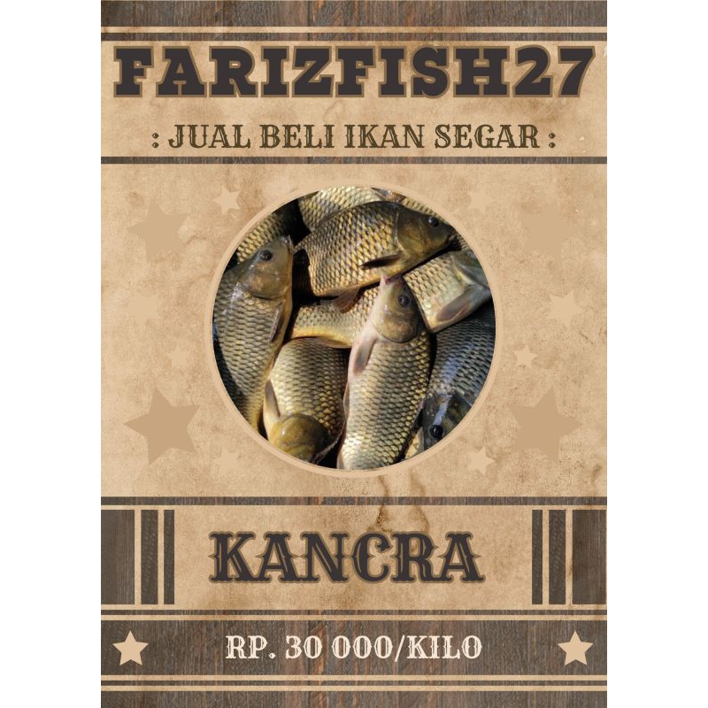 

ikan mas/kancra