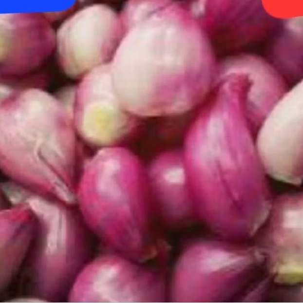 

Bawang Merah kupas 500 gr