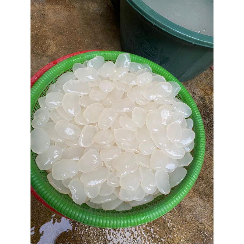 

Kolang Kaling super asli MEDAN