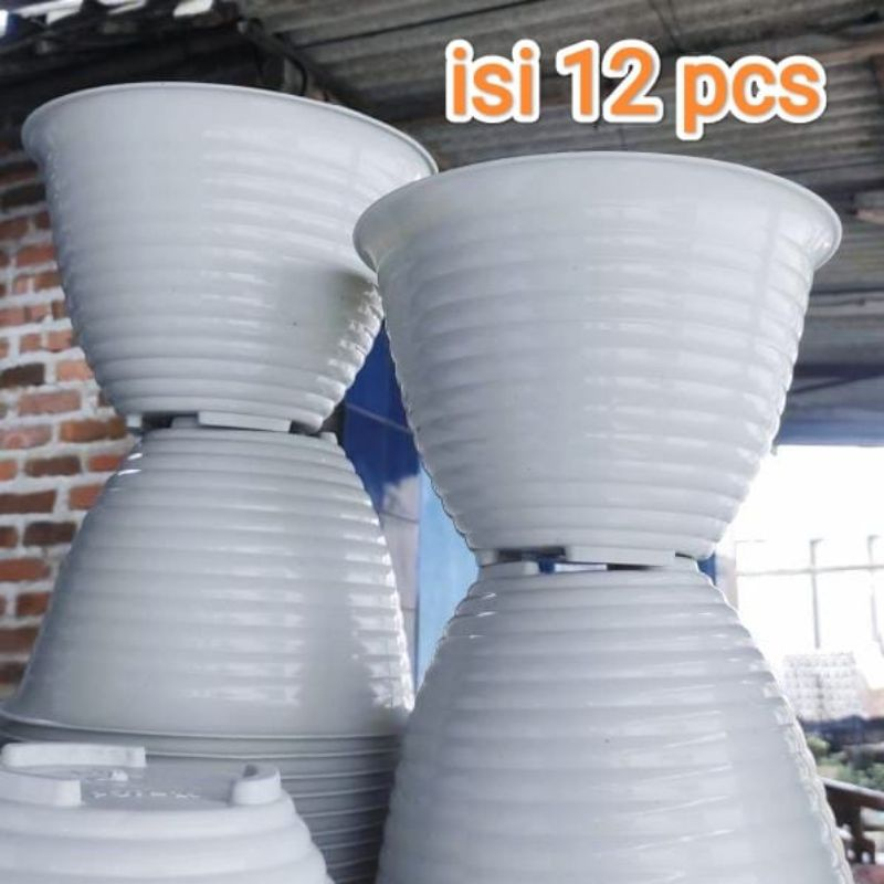 12pcs / pot tawon 25 putih perlusin Grosir 1/2 lusin pot bunga model tawon ukuran 25 isi 12 pcs