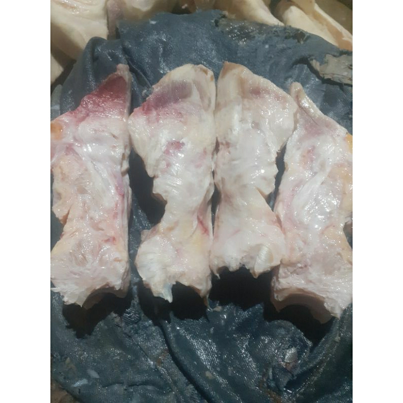 

tulang kutik/ tulang kuku sapi super