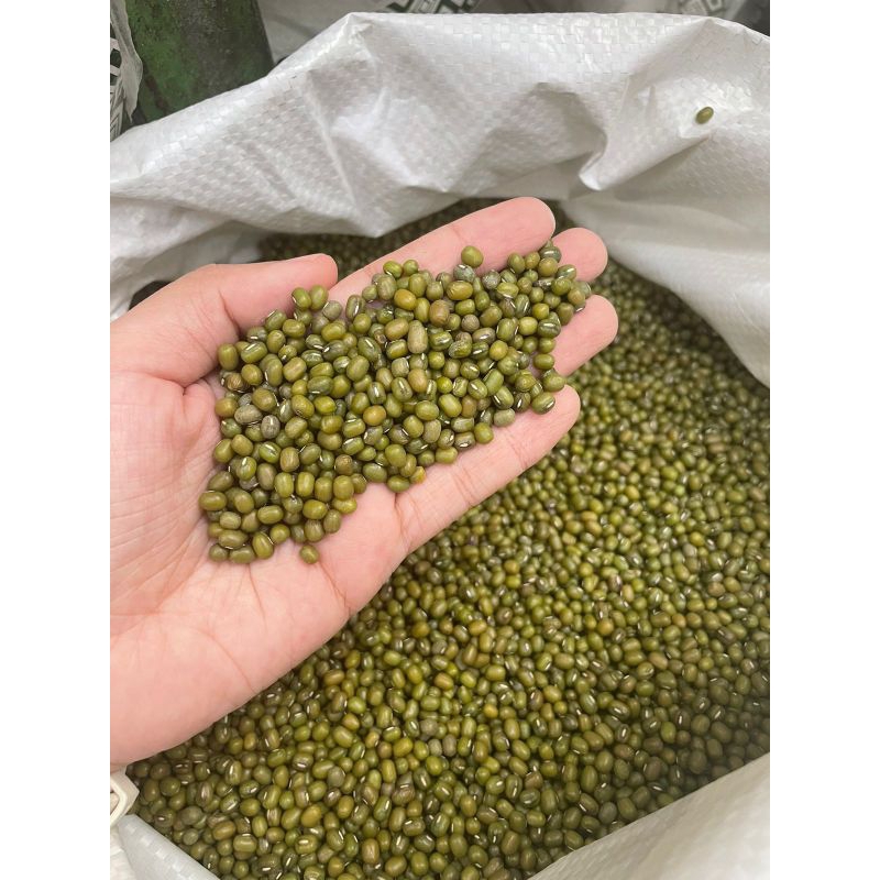 

Kacang Hijau / Ijo BIRMA Kualitas import 250gram 500gram 1KG