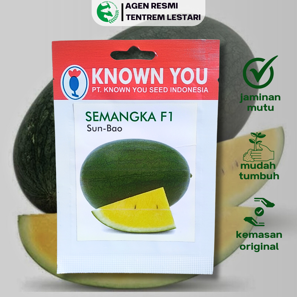 Benih Semangka Sun Bao 6 BIJI Known You Seed