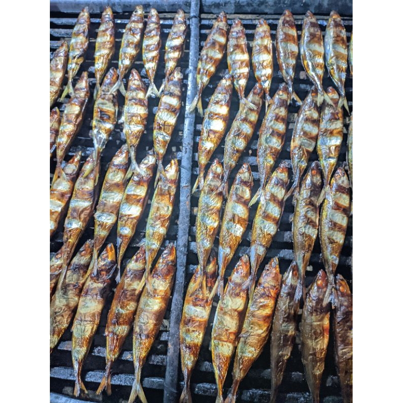 

Ikan asap layang isi 10 pcs / Ikan panggang layang / Ikan asap Pekalongan / Ikan asap murah