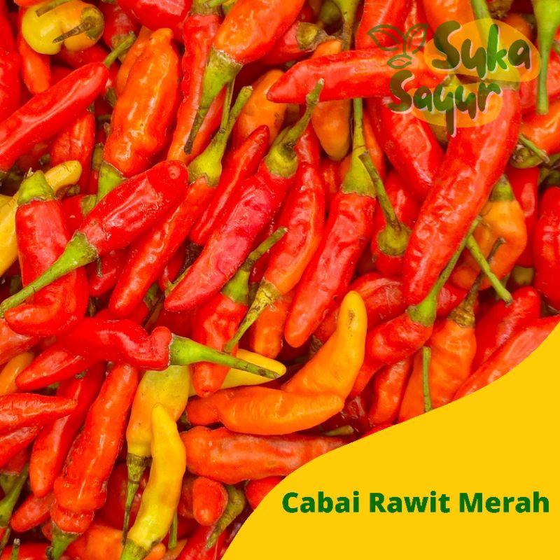 

cabe rawit merah asli 100 g