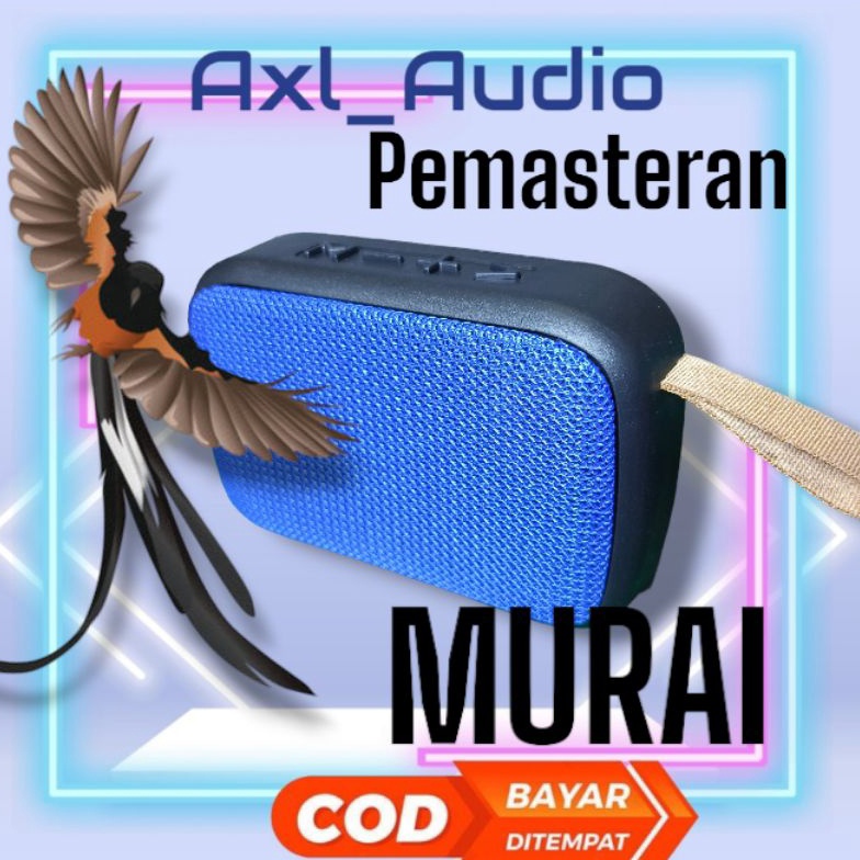 KODE Q56X Masteran burung murai musik box mp3 murai