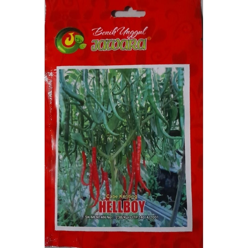 benih cabe keriting lokal hellboy +- 2200 biji 10 gr
