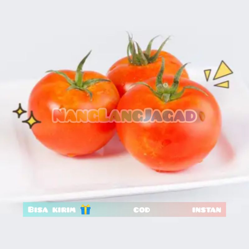 

TOMAT 250 gr - 1kg