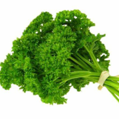 

Daun Parsley