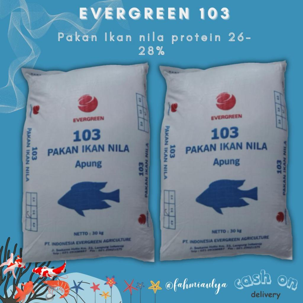 PAKAN IKAN EVERGREEN 103-2 (30 KG) pakan khusus ikan nila