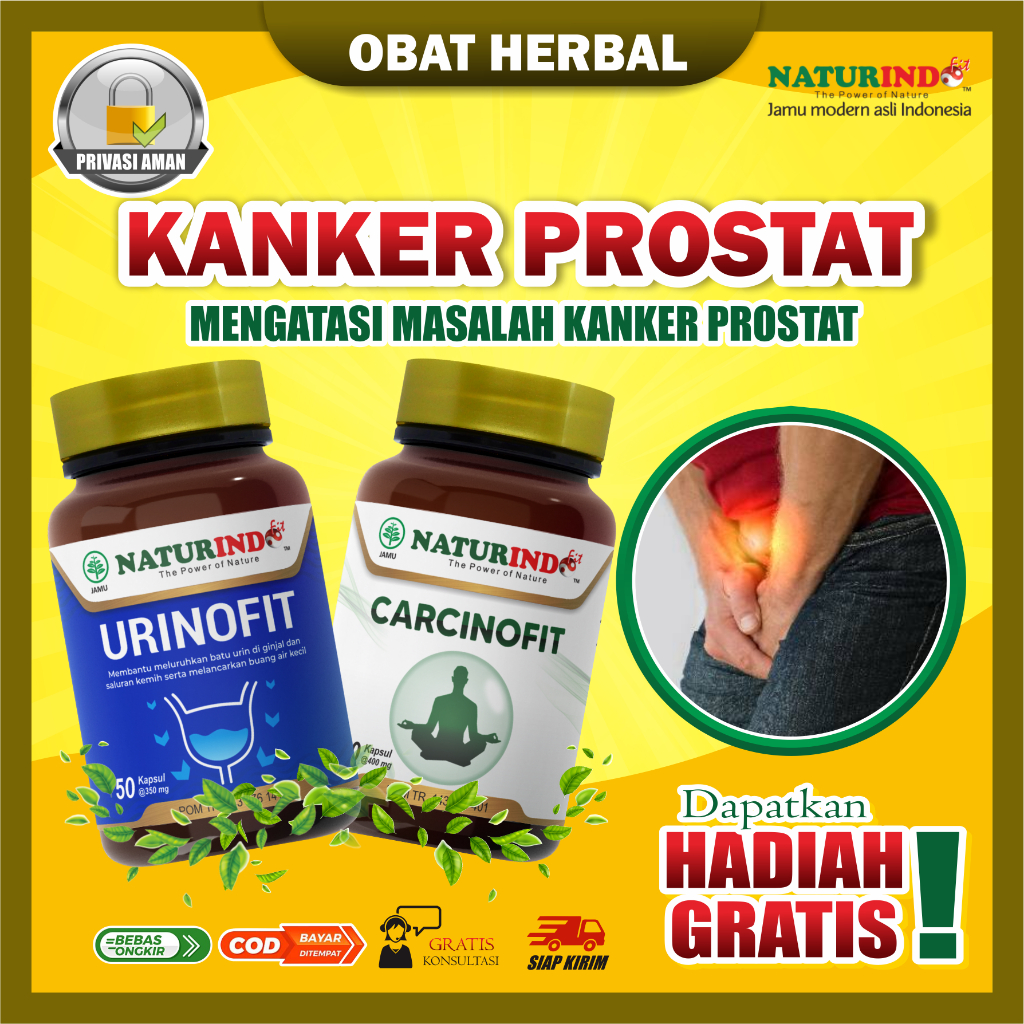 Obat Kanker Prostat Herbal Prostat Tanpa Operasi Kanker Prostat Paling Ampuh Pembengkakan Prostat In