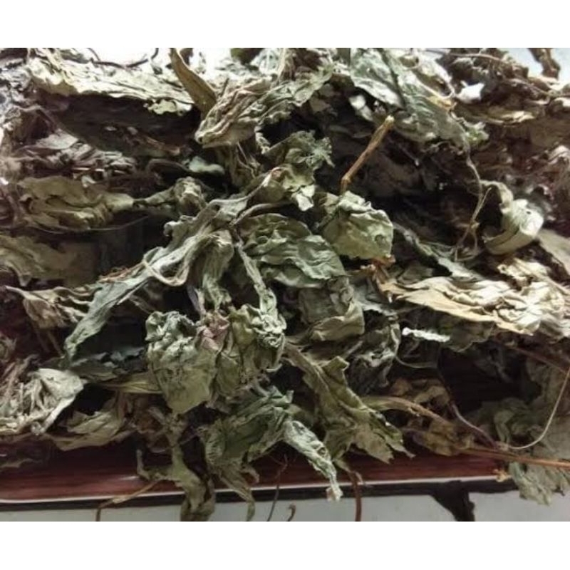 

Daun insulin kering / daun kipahit kering 500 gram