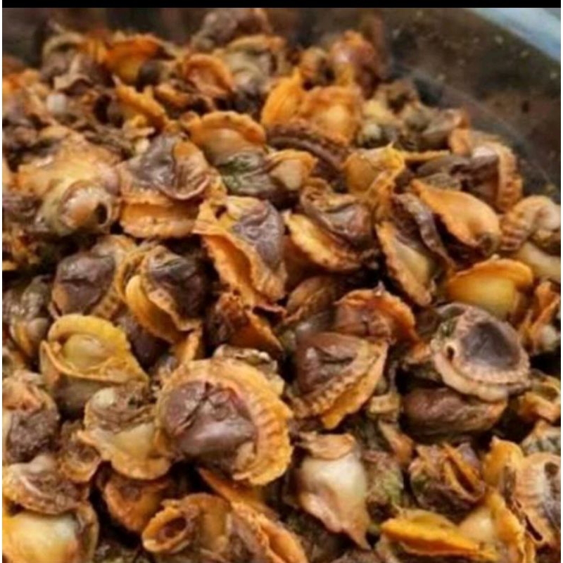 

kerang dara kupas