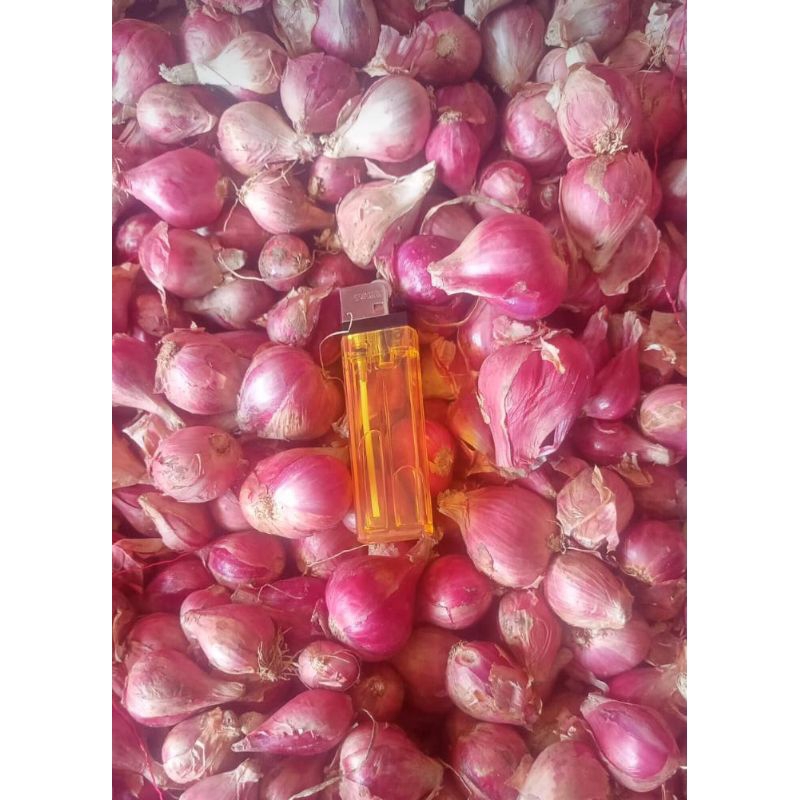 

BAWANG MERAH BREBES JUMBO 1KG | GRADE A