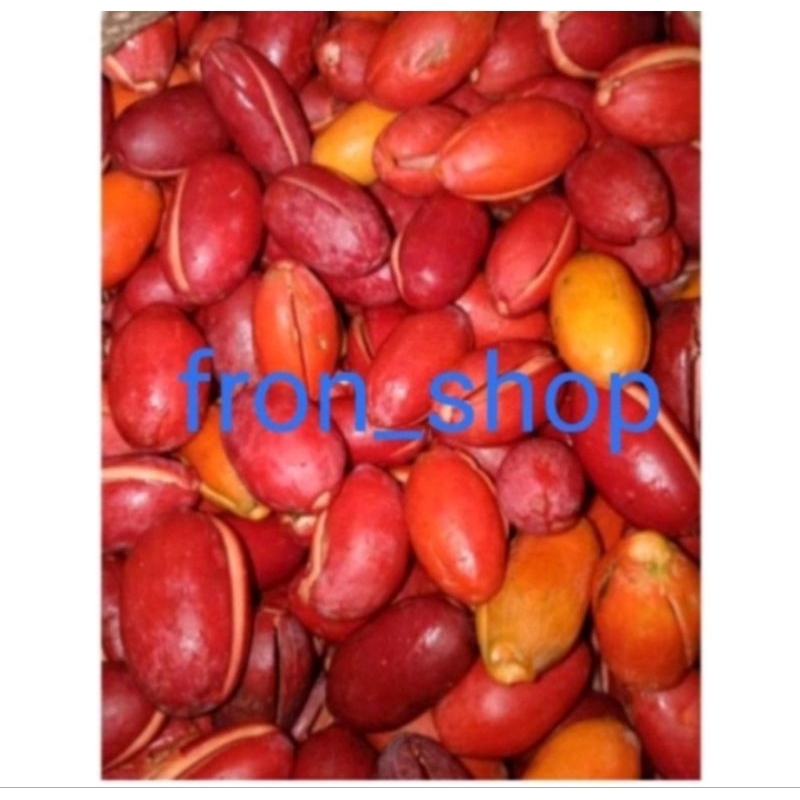 

8kg kulit melinjo super melinjo merah merona termurah