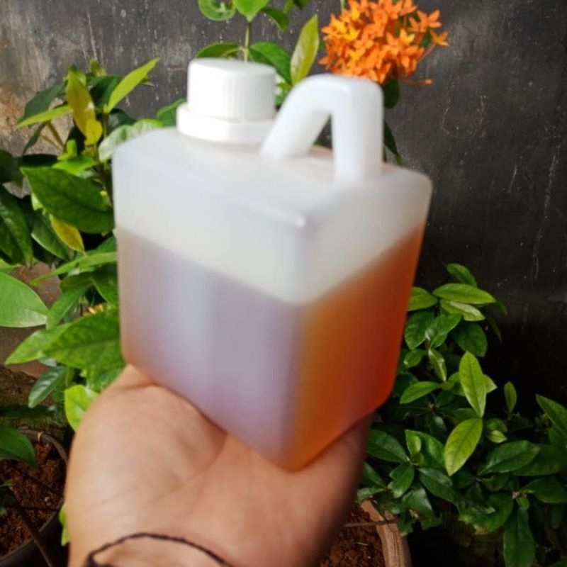 

Madu Randu 500gr madu murni