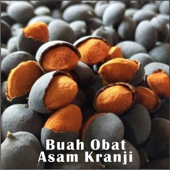 

Buah Sehat Asam Kranji Buah Sehat Dan Banyak Manfaat