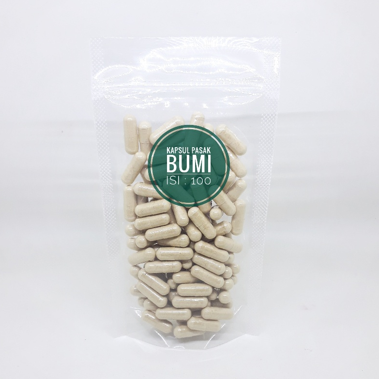 Kapsul Pasak-bumi