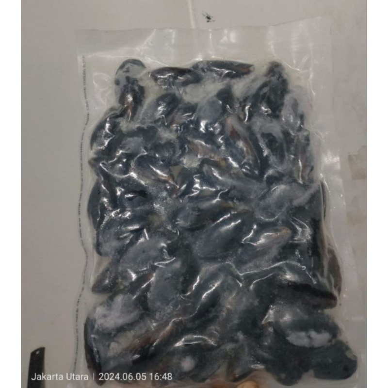 

Kerang Hitam 1 kg