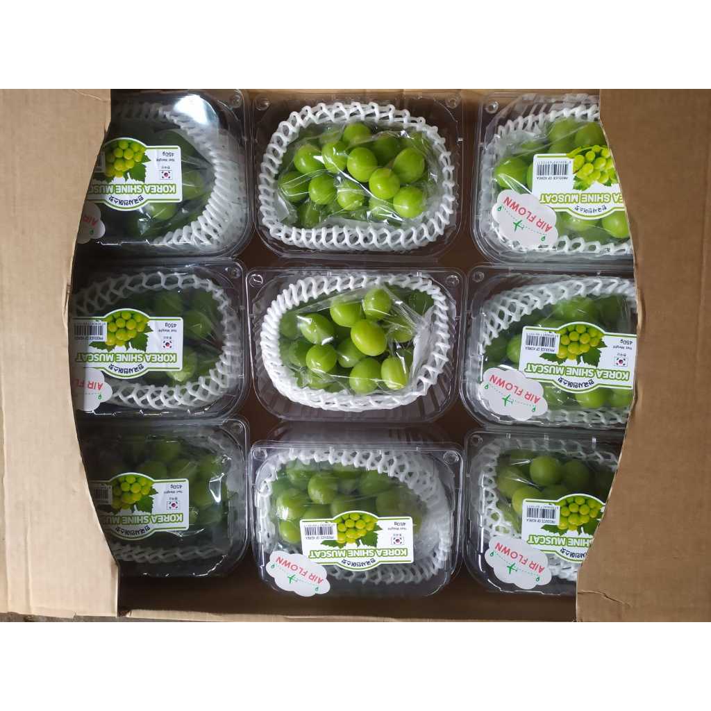 

Anggur muscat korea asli/PACK