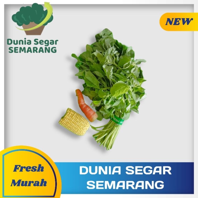 

INSTAN Paket Sayur Siap Masak