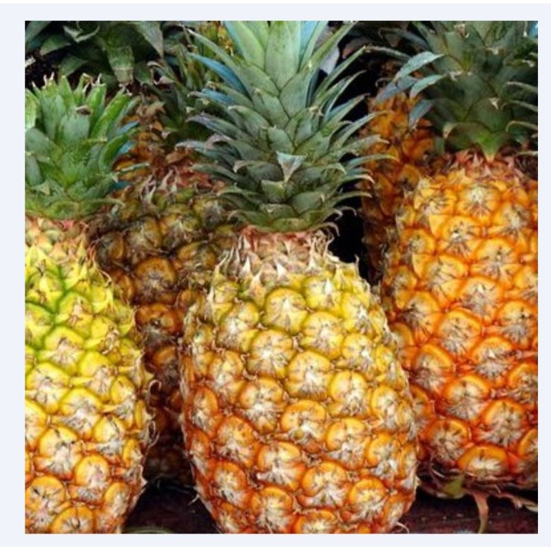 

BUAH NENAS 1 buah