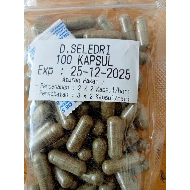 Kapsul Curah Herbal Daun Seledri 100 Kapsul