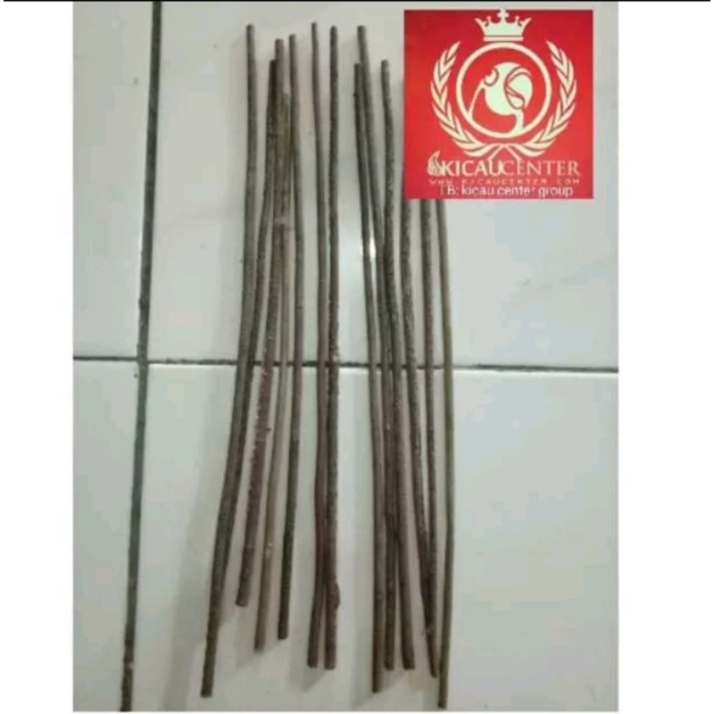 TANGKRINGAN ASEM BALI PLECI SOGON KOLIBRI