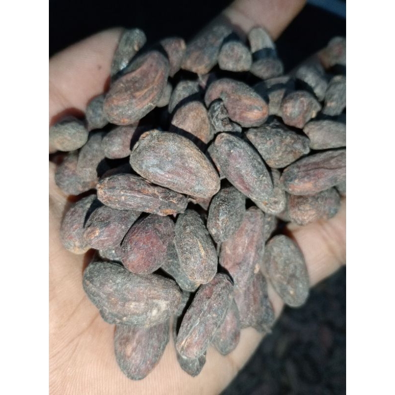 

1 KG Kakao - Biji coklat