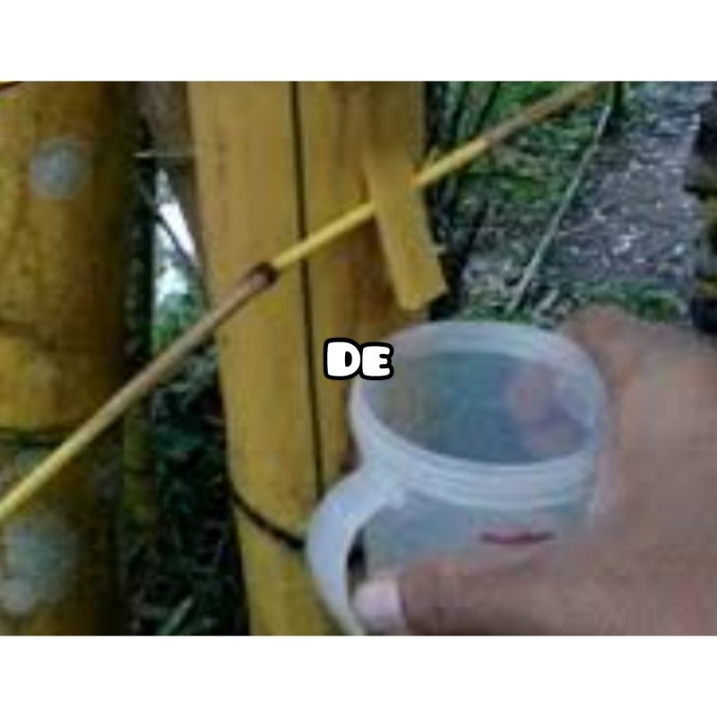 

Promo air bambu kuning alami 350 ml-az