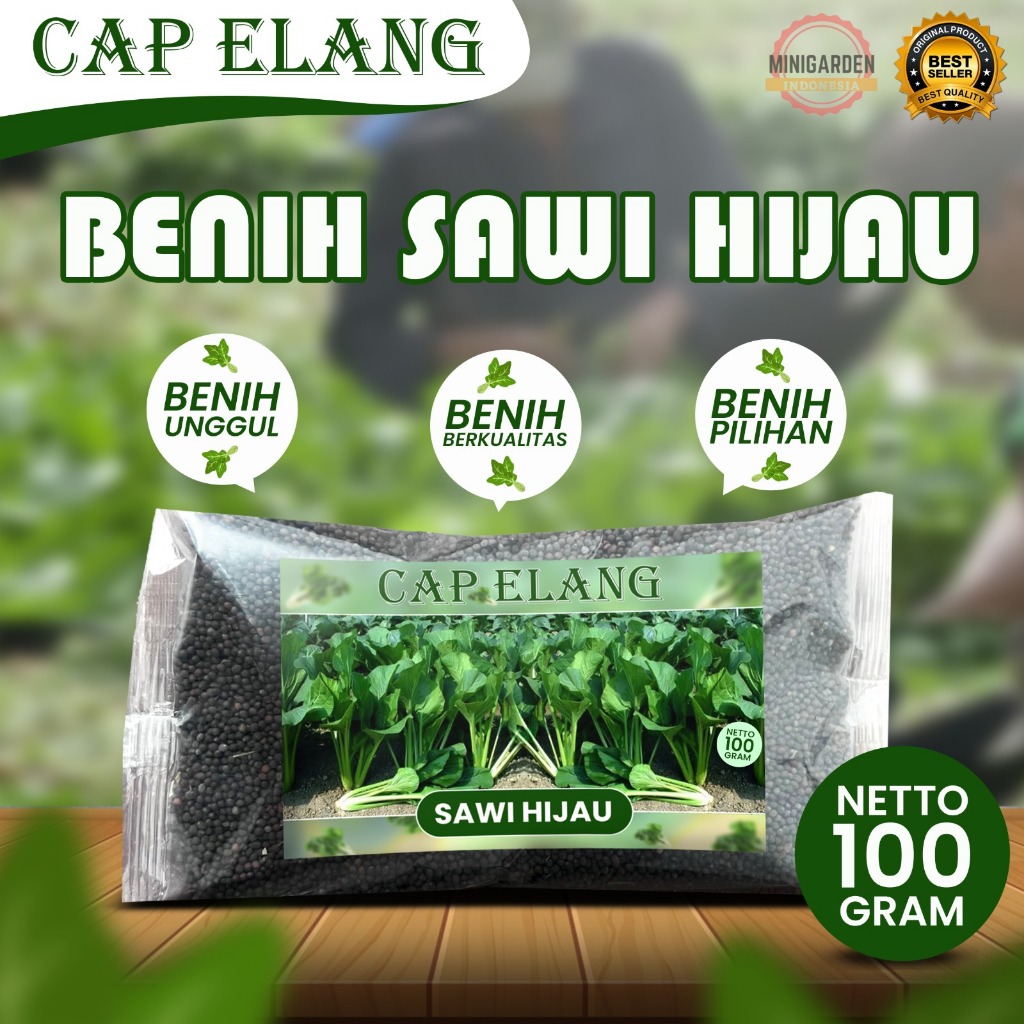 BENIH SAWI HIJAU CAP ELANG 100 GRAM bibit biji sawi hijau sawi bakso