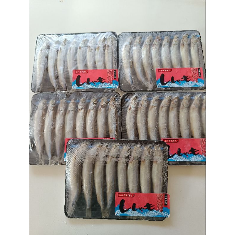 

IKAN SHISHAMO isi 8 /pack / IKAN CIPUNG / CAPELIN FISH