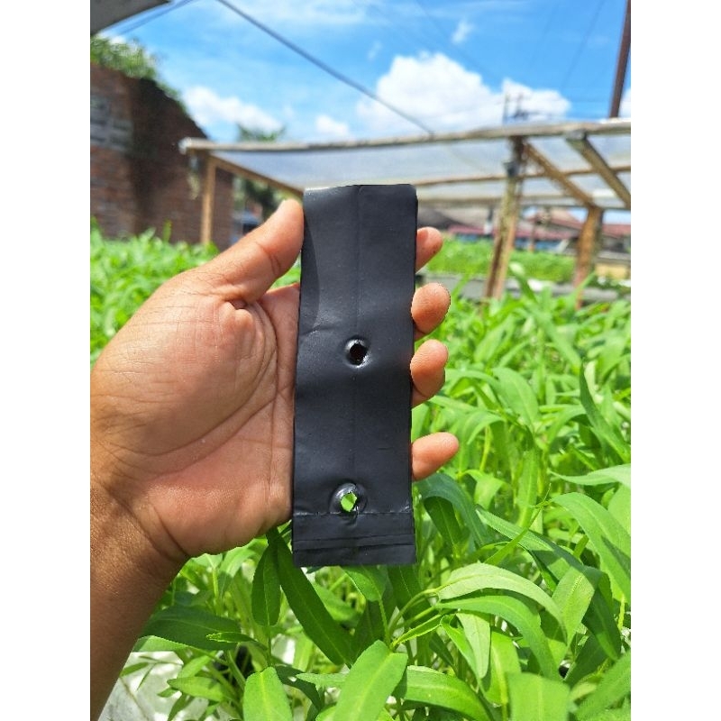 5 Lembar Plastik Polybag Tanaman Ukuran Mini 15 x 10 cm (5 pcs polybag)