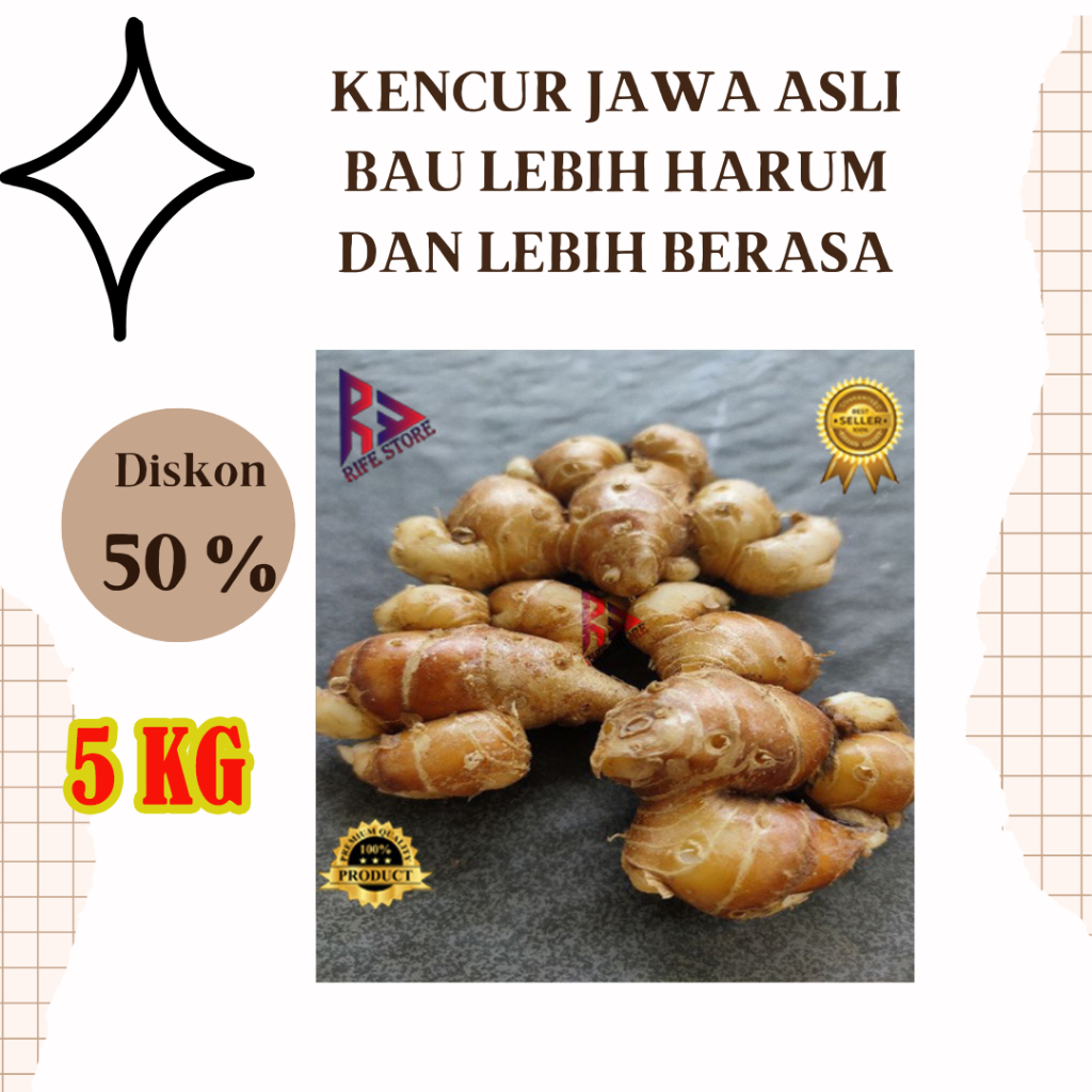

KENCUR SEGAR 5 KG SUPER MURAH BERKUALITAS - Kencur Jawa Asli Lebih Wangi dan Lebih berasa