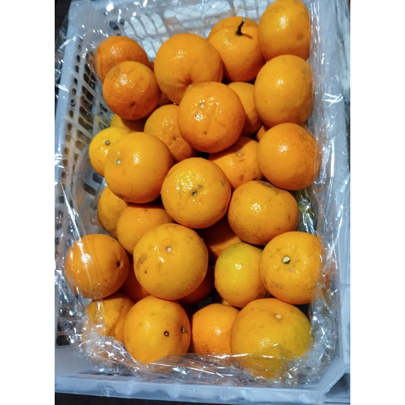 

JERUK WOGAN KRAT (PROMO)