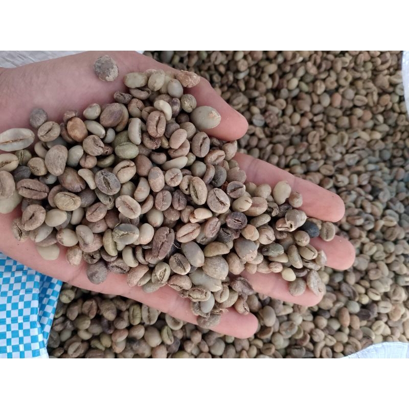 

biji kopi robusta lampung grade 4 defect 80 1 kg - 5 kg