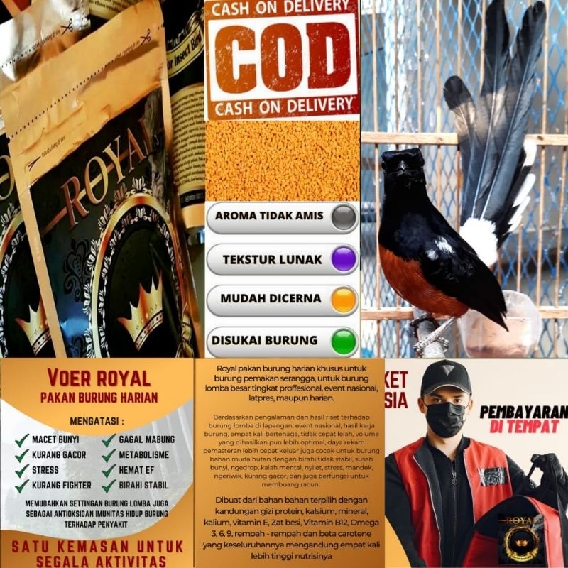 VOER ROYAL 300gr voer royal pakan burung serangga kandungan lengkap protein tinggi tanpa ef murai ka