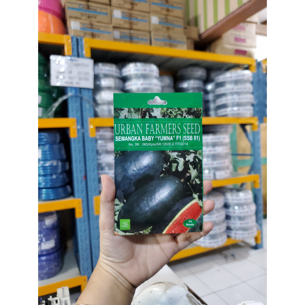 Benih Semangka Mini/Semangka Baby/Semangka Inul